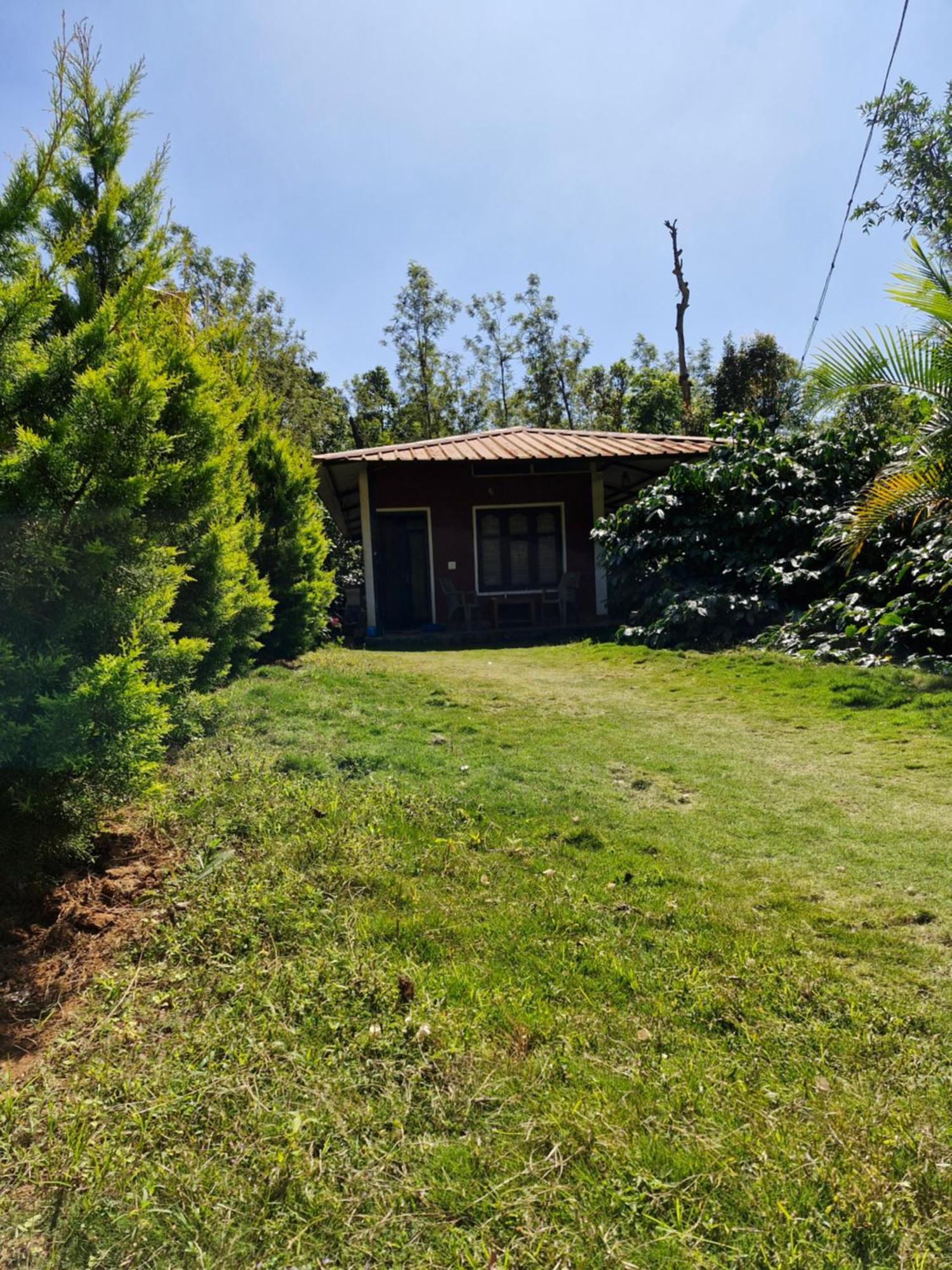 Athena Homestay Somvārpet Exterior foto